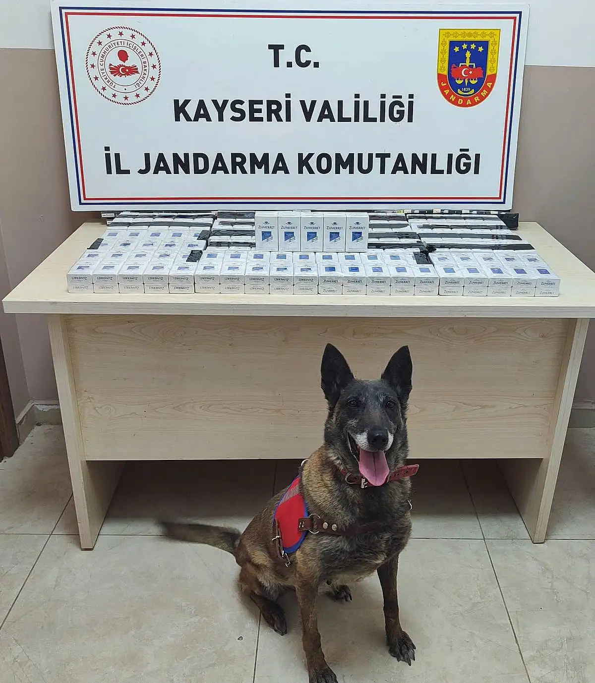 270 PAKET GÜMRÜK KAÇAĞI SİGARA ELE GEÇİRİLDİ