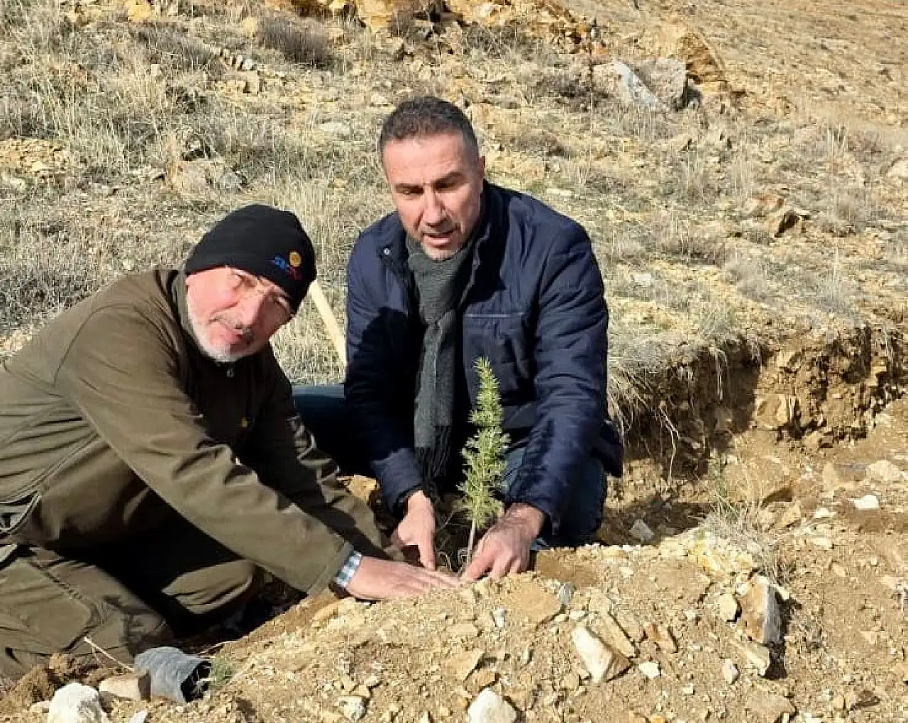 Saadet Partisi İl Başkanlığı fidanları toprakla buluşturdu