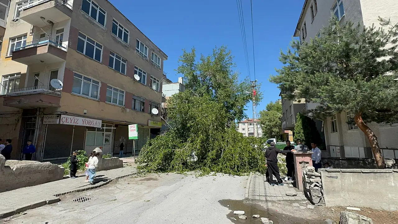 Kayseri'de dut ağacı minibüsün üzerine devrildi