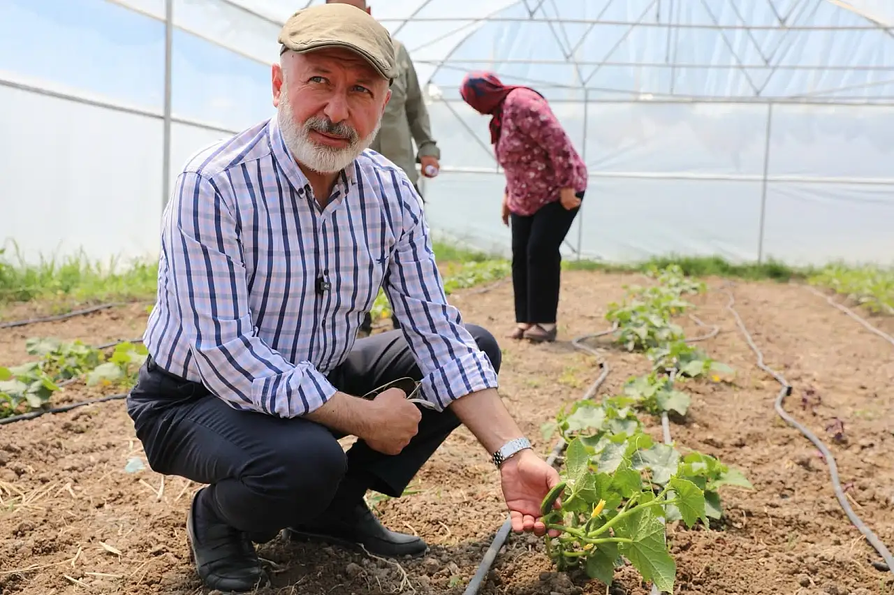 Tarımda kadın imzası: Kocasinan'daki proje Türkiye'ye örnek oluyor