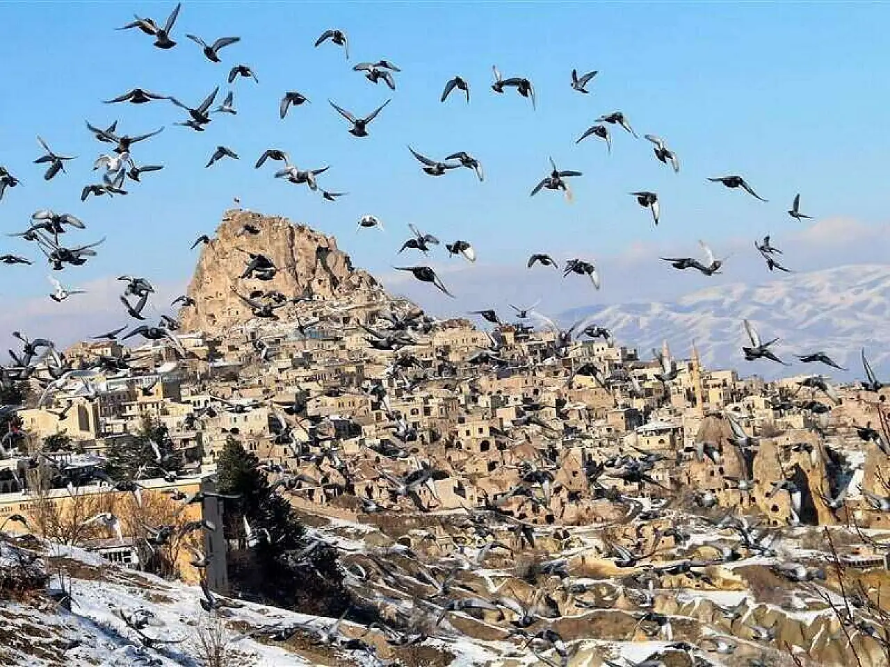 Gesi Bağları'ndaki güvercinlikler ilgi çekiyor