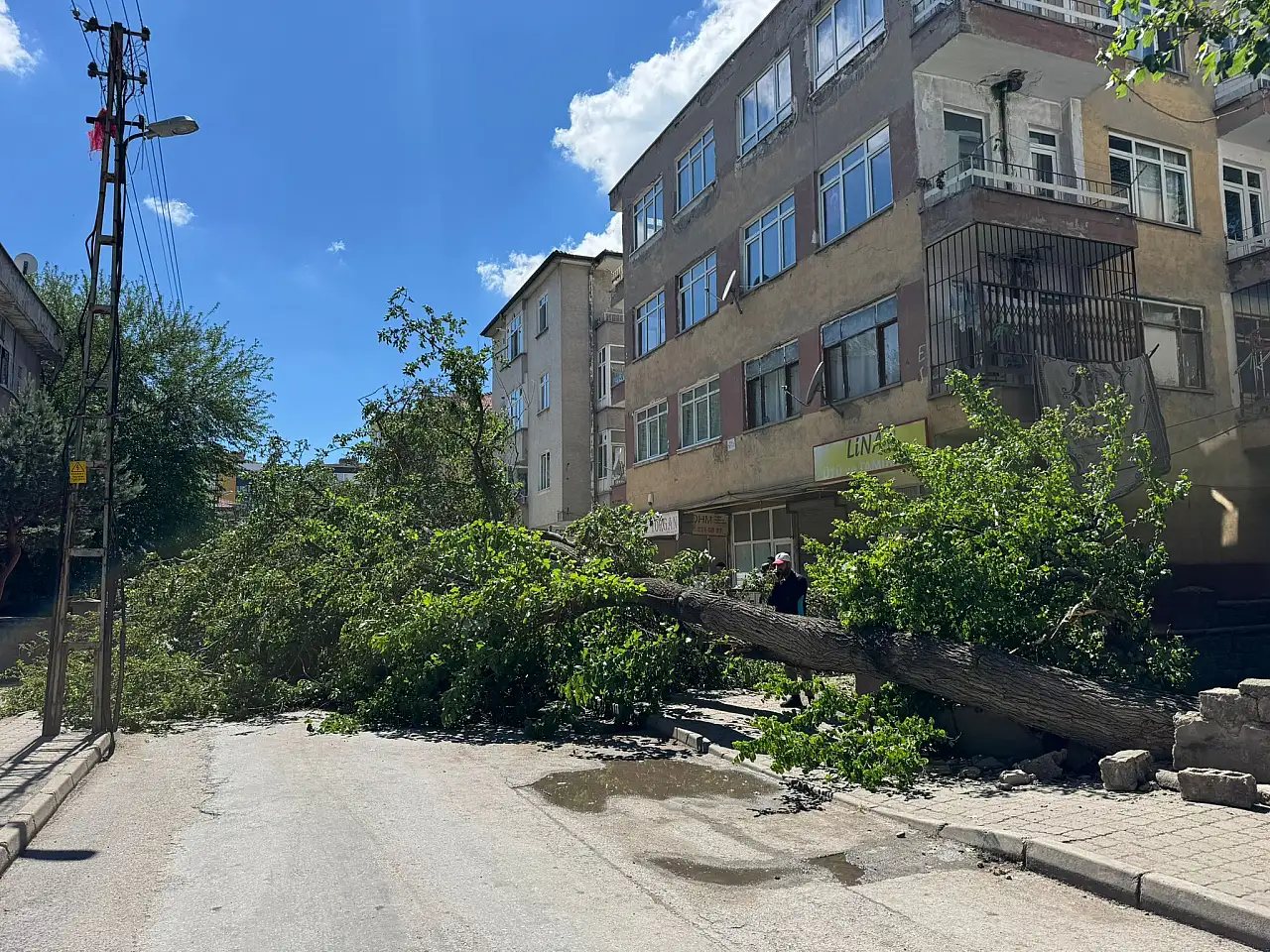 Kayseri'de dut ağacı minibüsün üzerine devrildi