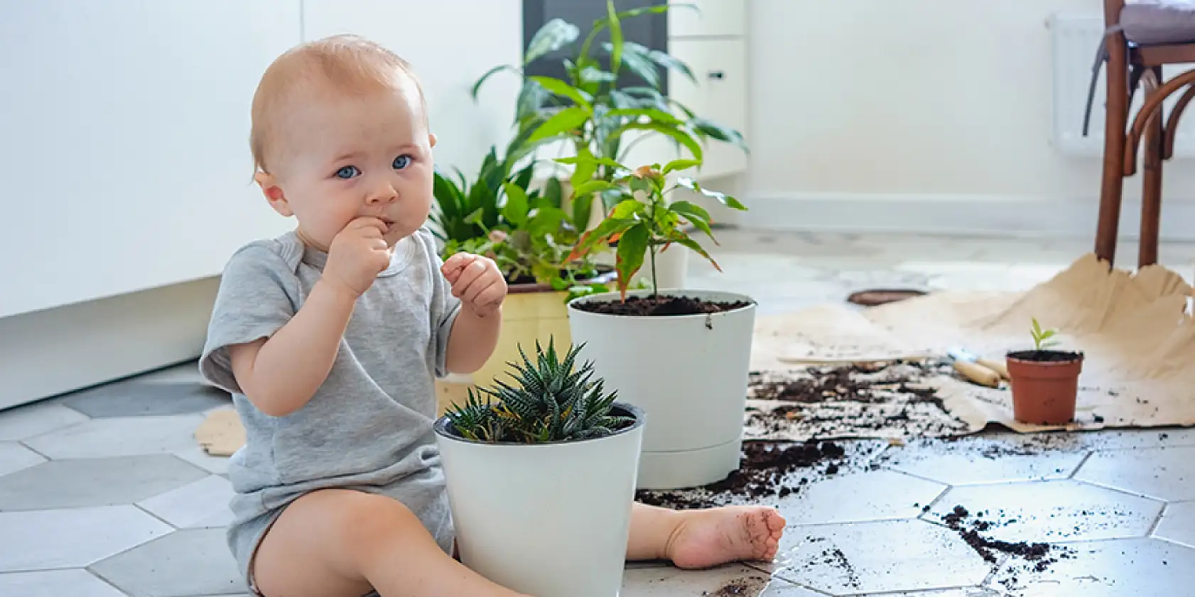 Pika sendromu nedir? Önlenebilir mi?