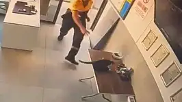 Akaryakıt istasyonunda kedinin saldırdığı kargayı görevli kurtardı