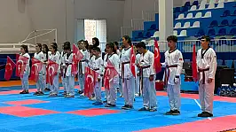 Kayseri'de Taekwondo İl Şampiyonası tamamlandı: 20 kategoride şampiyonlar belli oldu