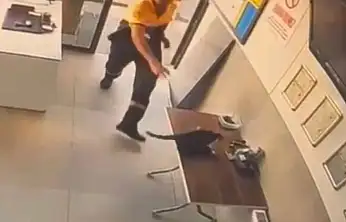 Akaryakıt istasyonunda kedinin saldırdığı kargayı görevli kurtardı
