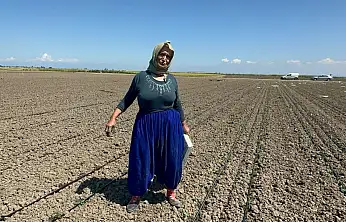 Belindeki 8 platinle tarlada ekmeğini kazanıyor