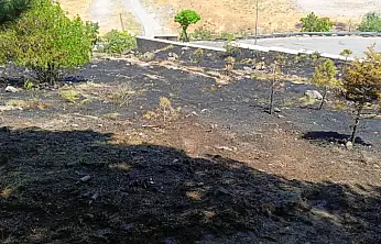 Beştepeler Mesire Alanı'nda ot yangını