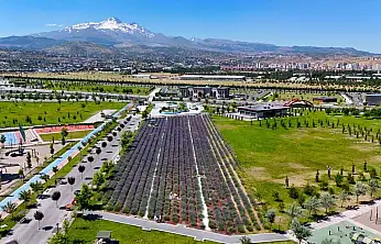 Büyükşehirin lavanta bahçesi, Erciyes manzarasıyla ziyaretçilerini büyülüyor