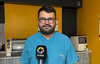Evcil hayvanlarda ayrılık stresi davranış bozukluğuna yol açabiliyor