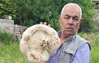 Kayseri'de 3 kilo 400 gram mantar buldu