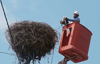 Kayseri'de elektrik direğinde mahsur kalan leyleği ekipler kurtardı