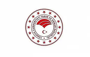 Kayseri'de iki firmaya tağşiş darbesi