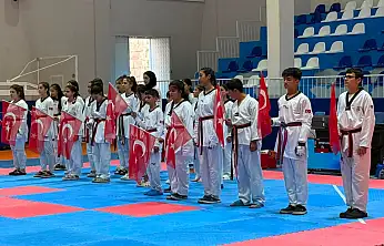 Kayseri'de Taekwondo İl Şampiyonası tamamlandı: 20 kategoride şampiyonlar belli oldu