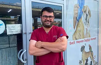 Kurban sonrası hayvan transferleri hastalık riskini artırıyor
