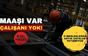 Maaşı var, ama çalışanı yok! O mesleklerde artık ustalar yetişmiyor