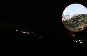 Malatya'daki orman yangınını söndürme çalışmaları sürüyor