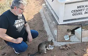 Nankör değil, vefalı! Hayatını kaybeden sahibinin mezarı başından ayrılmıyor