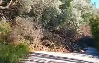 Sarıoğlan'da heyelan ulaşımı durdurdu