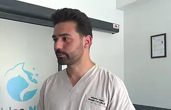 Veteriner Cingil'den kene uyarısı! Evcil hayvan sahipleri dikkat