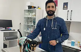 Veteriner Teknekaya'dan yaz uyarısı: Taşıma çantası seçimi hayati önem taşıyor