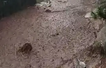 Yahyalı'da yağış sele neden oldu, evler araçlar zarar gördü