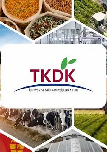 TKDK'dan yatırımcılara 30 milyon euroluk hibe atağı