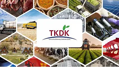 TKDK'dan yatırımcılara 30 milyon euroluk hibe atağı