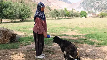 Annesinin reddettiği oğlak, anne sevgisini Hayriye teyzenin yanında buldu