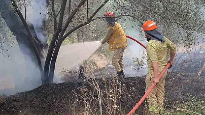 Fethiye'deki yangının enerjisi düşürüldü