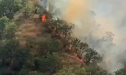Kastamonu'da orman yangınında 40 dönümlük alan zarar gördü