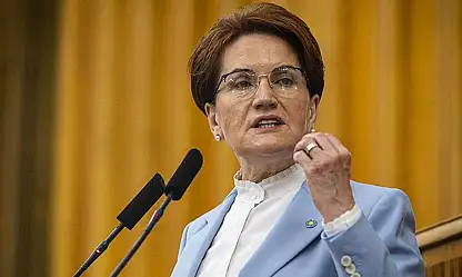 Siyaseti bırakan Akşener'den yeni adım: Meral Akşener Vakfı resmen kuruldu