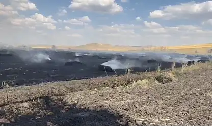 Yozgat'ta örtü yangını tarım arazilerine sıçradı