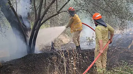 Fethiye'deki yangının enerjisi düşürüldü