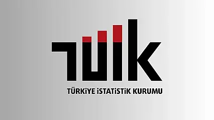Kadınların yüzde 28,2'si psikolojik şiddete maruz kalıyor