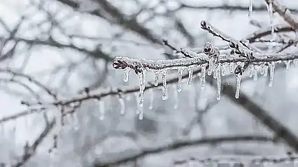 Meteoroloji Kayseri'yi uyardı! Buzlanma ve don bekleniyor
