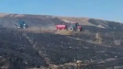 Siirt'te biçerdöverden çıkan yangında 50 dönümlük ekili alan yandı