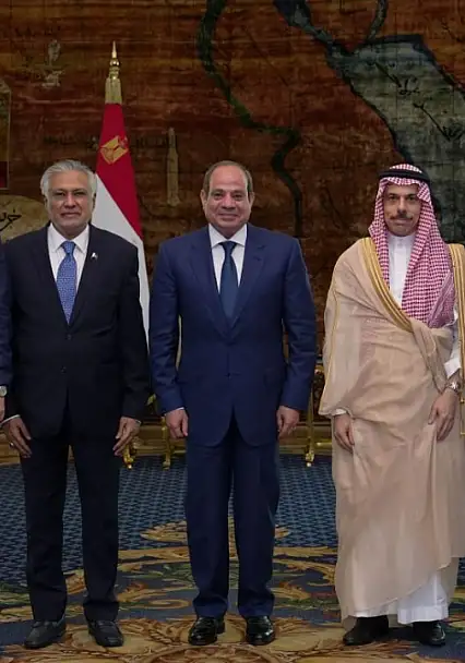 Bakan Fidan, Mısır Cumhurbaşkanı es-Sisi ile bir araya geldi