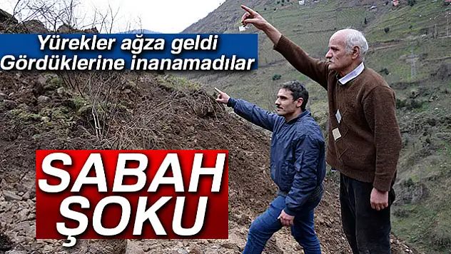 Fındık bahçesinde sabah şoku