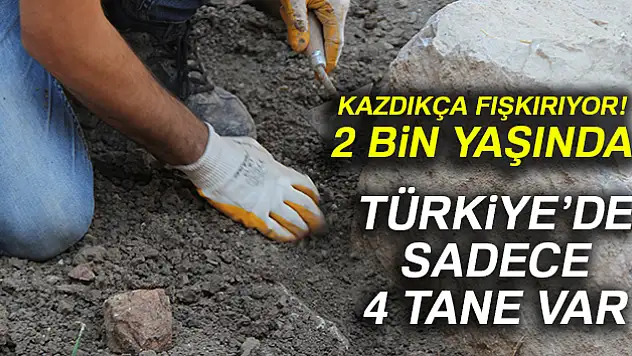 2 bin yıllık geçmişe sahip ve Türkiye'de sadece dört tane bulunuyor
