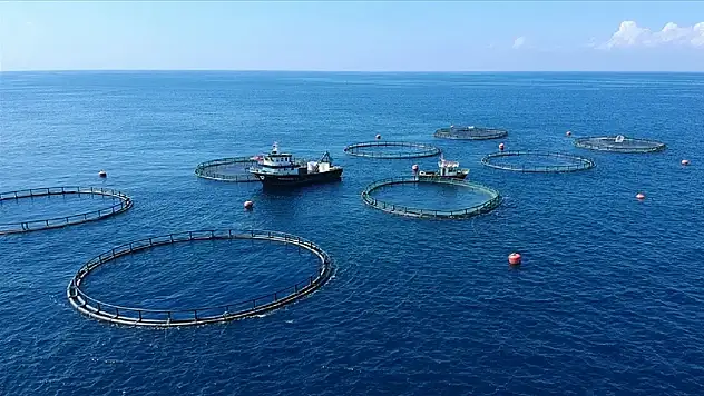 2025 yılında 133 ülkeye 2,2 milyar dolarlık su ürünleri ihracatı yapıldı