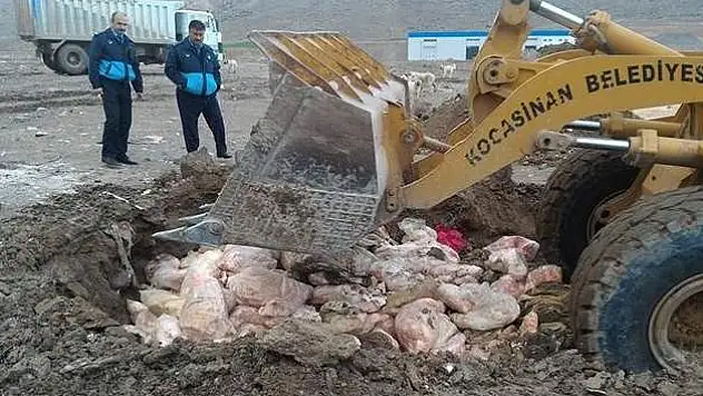 30 ton kaçak et imha edildi