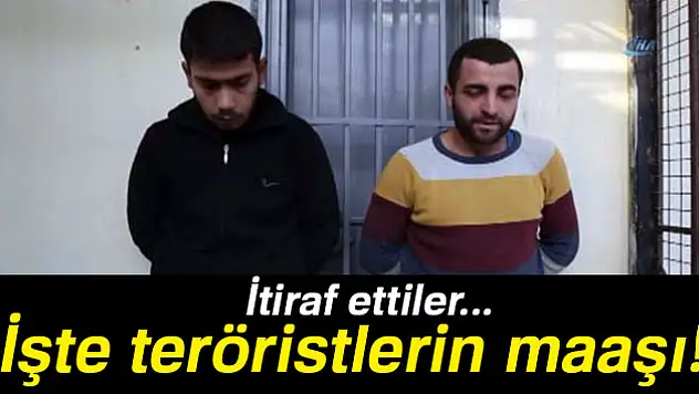 Afrin'de yakalanan teröristlerden 'maaş' itirafı