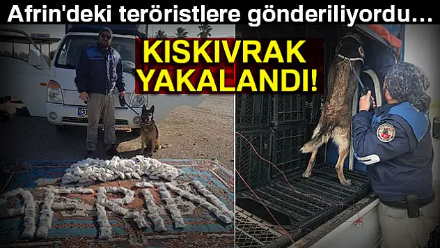 Afrin'deki YPG'li teröristlere gönderiyorlardı, kıskıvrak yakalandılar