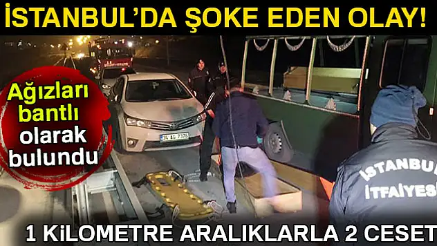 Ağızları bantlı 1'i kadın 2 kişinin cesedi bulundu