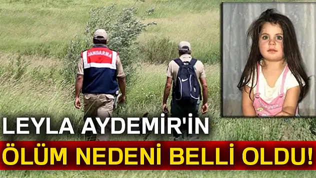 Ağrı Valisi'nden Leyla Aydemir'in ölümüyle ilgili açıklama
