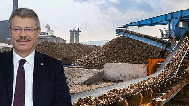 AKAY: 'PANCAR ALIM FİYATI MAKUL, SAKSIYA BİLE EKMEK İSTEYENLER OLACAK'