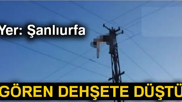 Akıma kapılan işçinin cesedi direkte asılı kaldı
