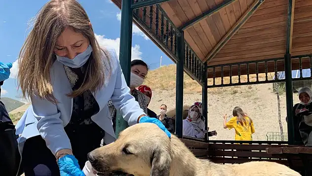 AKP KAYSERİ KADIN KOLLARI'NDAN SOKAK HAYVANLARINA DUYARLILIK ÇAĞRISI