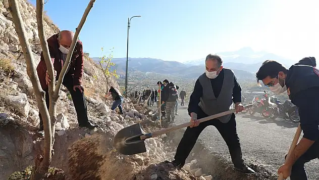 ALİ DAĞI'NA 500 ADET MEYVE AĞACI DAHA